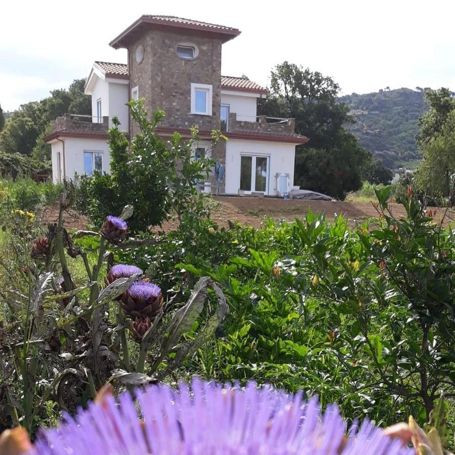 B&B Il Sogno Santa Maria di Castellabate Exterior photo