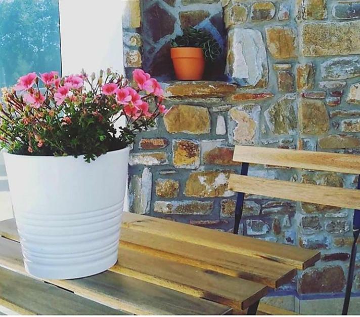 B&B Il Sogno Santa Maria di Castellabate Exterior photo